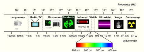 Terahertz in Hertz: Exploring the Invisible Spectrum