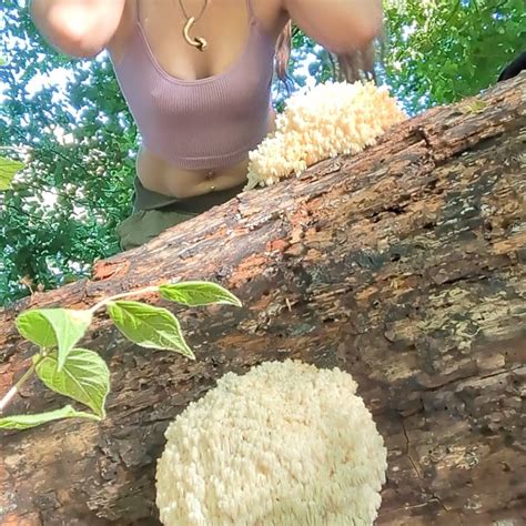 Teresa Mycelia OnlyFans: A Deep Dive into the World of Mycology and NFTs