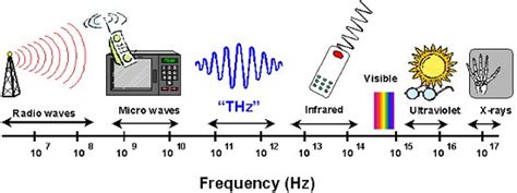 Terra Hertz: The Revolutionary Frequency That's Reshaping Industries