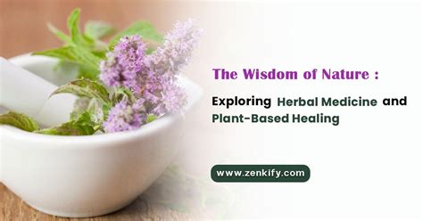 Terrace Healing: Unveiling the Power of Natural Remedies for Improved Health and Well-being