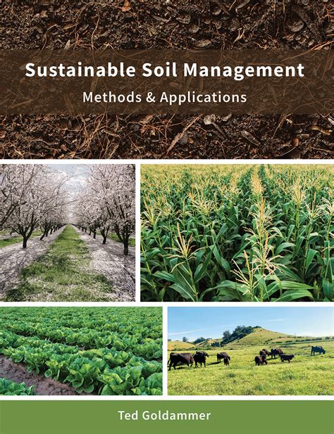 Terramizu: A Comprehensive Guide to Sustainable Soil Management