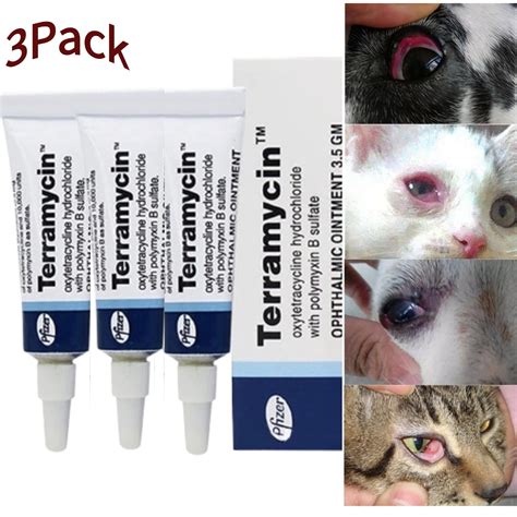 Terramycin Eye Ointment for Cats: A Comprehensive Guide