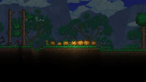 Terraria Pumpkin Seeds: A Comprehensive Guide