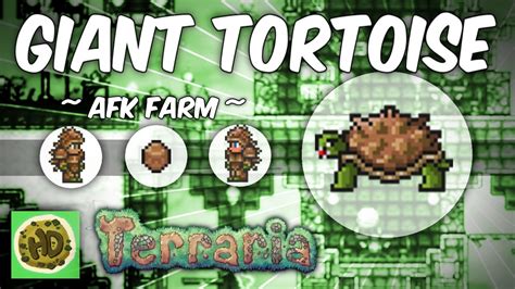 Terraria Turtles: 15 Incredible Facts, Uses, and Breeding Secrets You'll Love