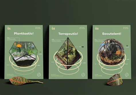 Terrarium Branding and Identity: Igniting Growth in 2025