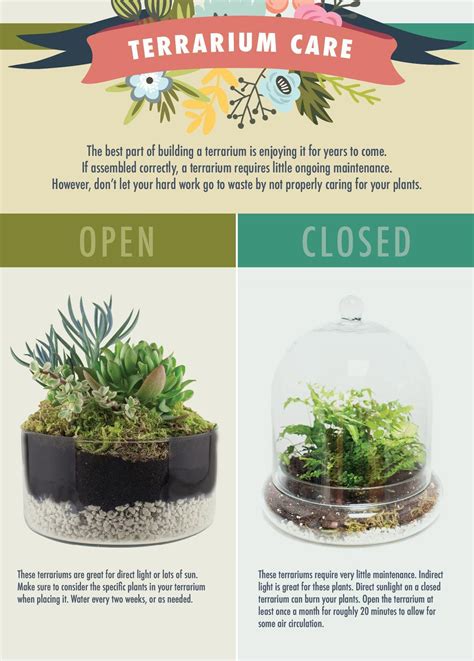 Terrarium Care Online Courses VS In-Person Classes in 2025: A Comprehensive Guide