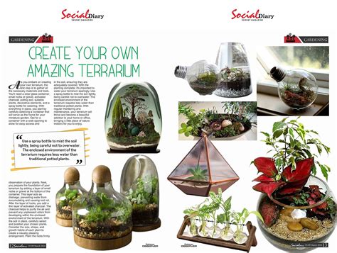 Terrarium Social Media: The Greenest Way to Connect in 2025!