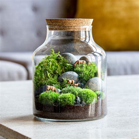 Terrarium decoration themes