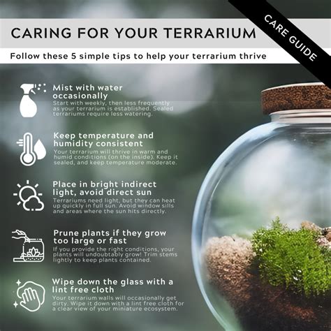 Terrarium maintenance for small spaces