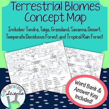 Terrestrial Biomes Concept Mapping Biology Answer Key PDF