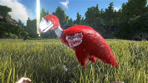 Terror Bird Ark: Survival Evolved (Evolutions & Encounters)