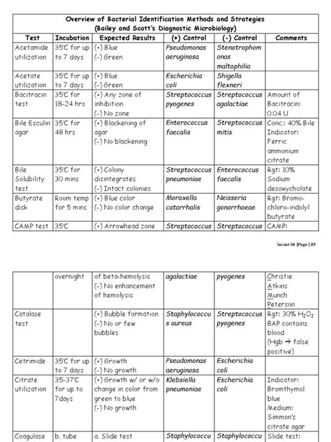 Test 2 Microbiology: A Comprehensive Overview