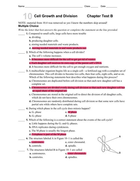 Test Cell Growth And Division Answers Reader