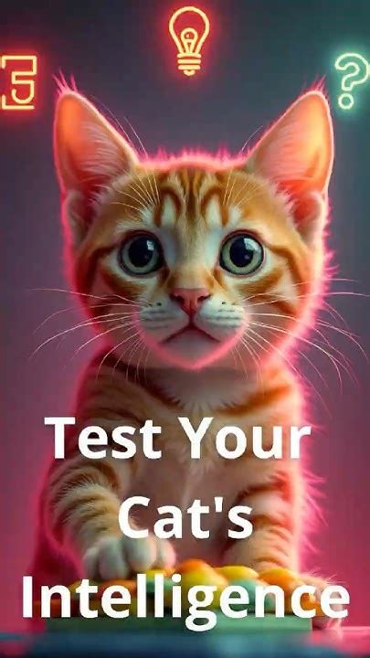 Test Your Cat s Creative Intelligence Kindle Editon