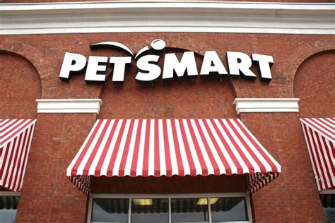 Test Your Pet Smarts: A Comprehensive Quiz to Challenge Your Knowledge of Our Beloved Companions