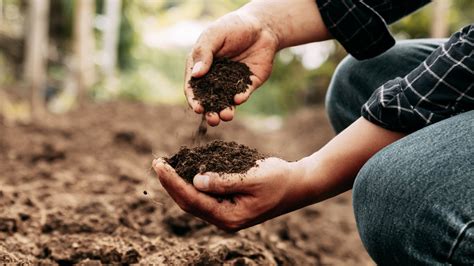 Test your soil: