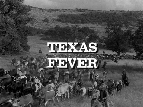Texas Fever 2 Book Series Epub