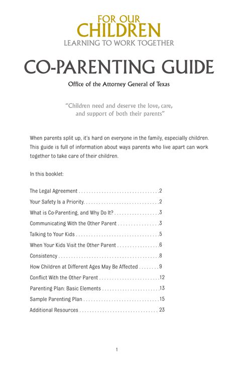 Texas Parenting Plan Template