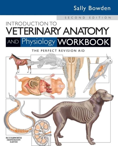 Textbook of Veterinary Anatomy 2nd Edition Reader