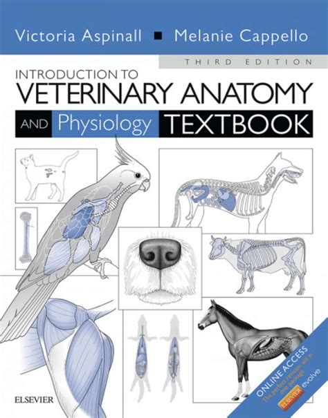 Textbook of Veterinary Anatomy Ebook Doc