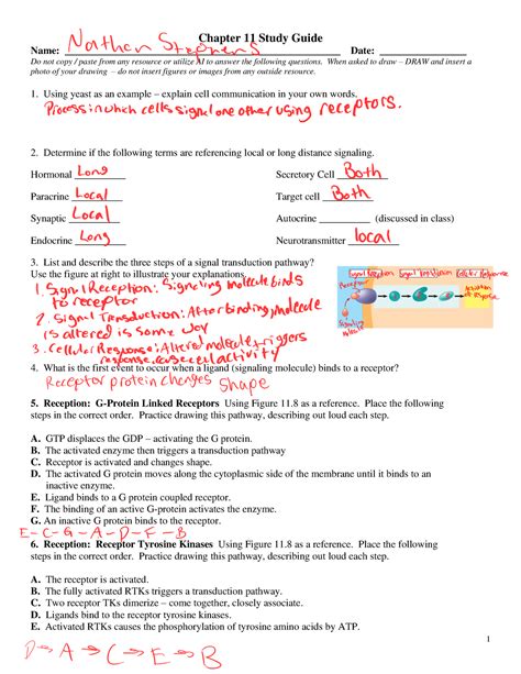 Textile Fibers Ch 11 Study Guide Answers Epub