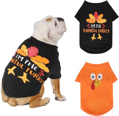 Thanksgiving Dog Shirt: Show Your Canine's Gratitude with Style