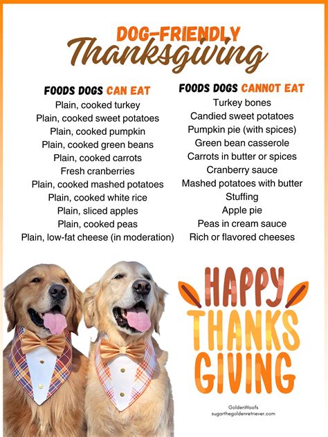 Thanksgiving Food: What Can Dogs Eat?