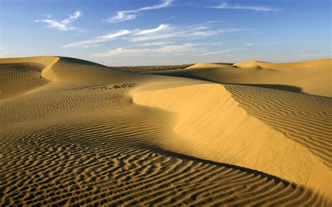 Thar Desert