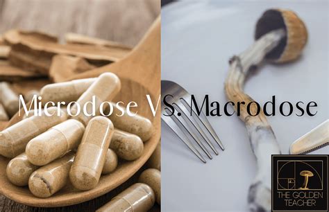 That Was Not a Microdose: Uncovering the Surprising Benefits of Macrodosing