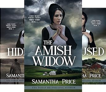 That Which Was Lost Amish Secret Widows Society Volume 10 Reader