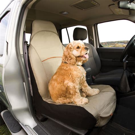 The 10 Best Dog Car Seat Covers in 2025: Reviews and Ratings