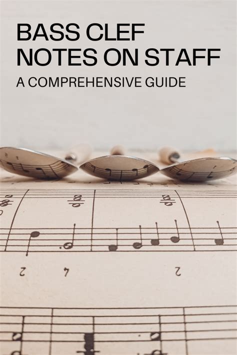 The 1001 Notes of the Bass Clef: A Comprehensive Guide