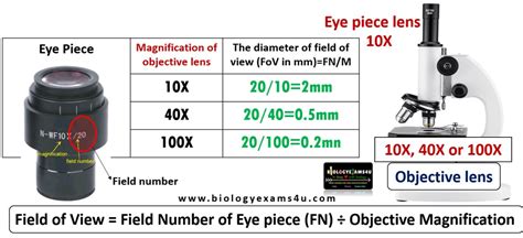 The 10x15 Field of View Microscope