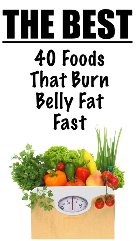 The 20 Diet Foods to Burn Fat Fast Recipes to Achieve Your Weight Loss Goals PDF