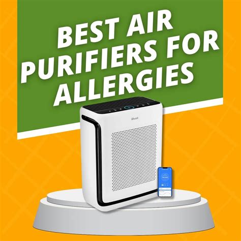 The 2023 Guide to the Best Air Purifiers for Allergies and Pets