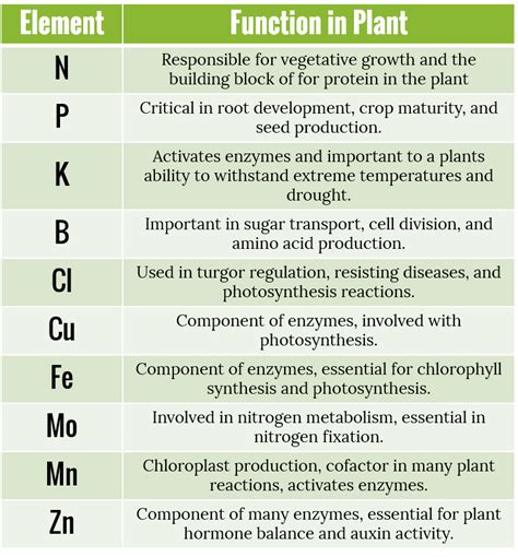 The 3 Key Nutrients for Soybean Fertilizer