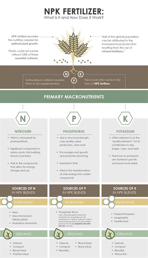 The 360° Guide to NPK Granulation: Mastery from Concept to Plant