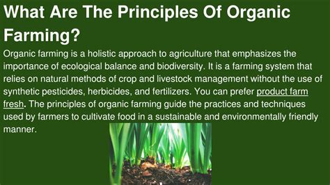 The 4 Key Principles of Organic Garden Fertilizers