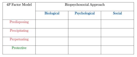 The 4 P's in Psychiatry: A Comprehensive Guide
