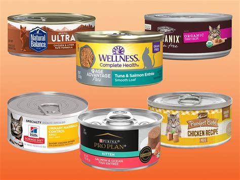 The 5 Best Canned Cat Food Brands of 2023