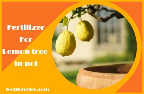 The 5 Essential Fertilizers for Lemon Trees