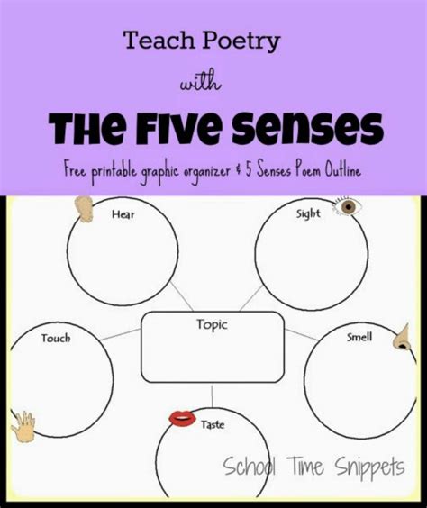 The 5 Senses of Poetry: Unlocking the Sensory Dimensions of Verse