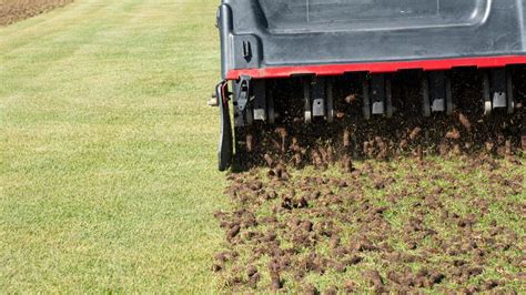 The 5-Minute Guide to Aerators & Fertilizer Spreaders: Unlocking Lush Lawns & Booming Blooms