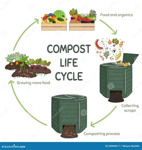 The 5-Step Compost Production Process