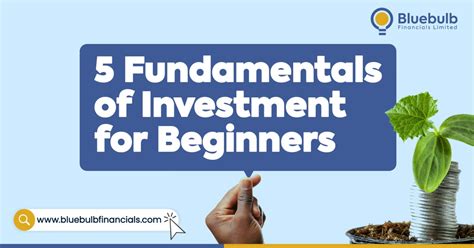 The 7 Fundamentals of Investment for Beginners