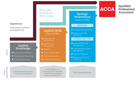 The ACCA Exam Structure