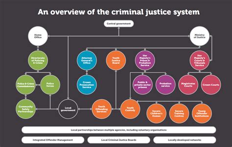 The Accused: Navigating the Criminal Justice System