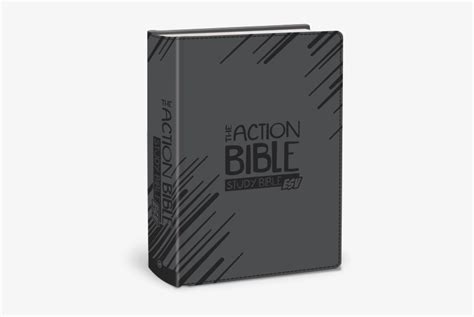 The Action Bible Study Bible ESV Gray Kindle Editon