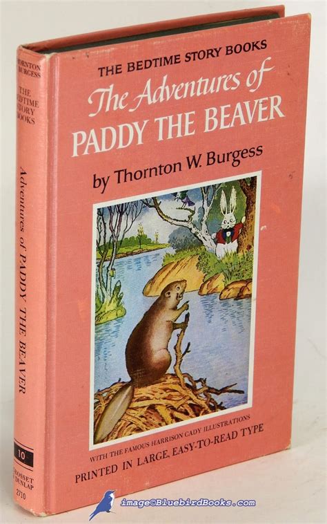 The Adventures of Paddy the Beaver Classic Bedtime Stories for Children Illustrated