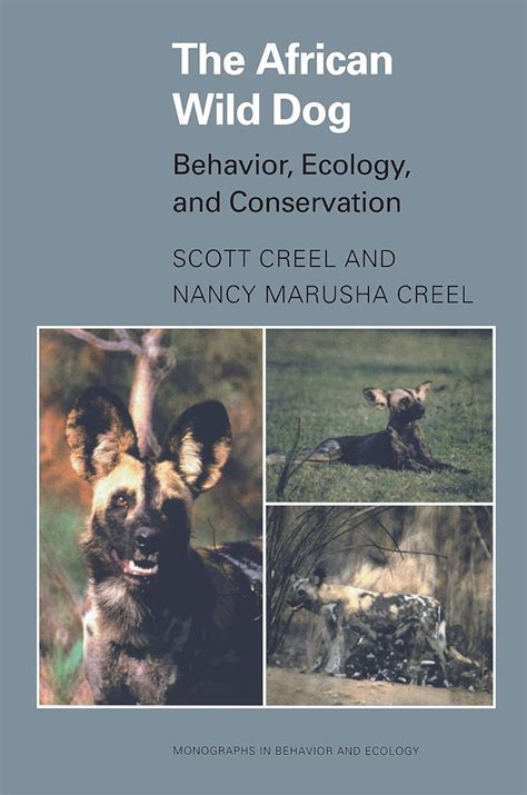 The African Wild Dog: Behavior, Ecology, And Ebook Kindle Editon